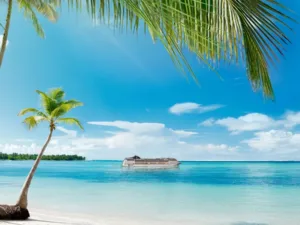 Crucero MSC por el Caribe